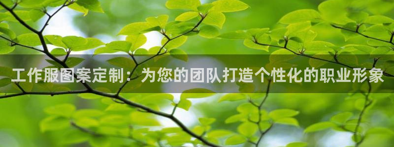 龙8手机版官方正版下载