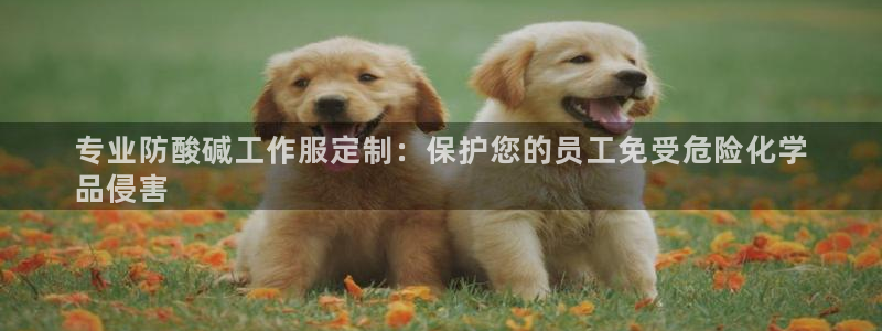 long8唯一中国官方网站|专业防酸碱工作服定制:保护您的员工免受危险化学
品侵害