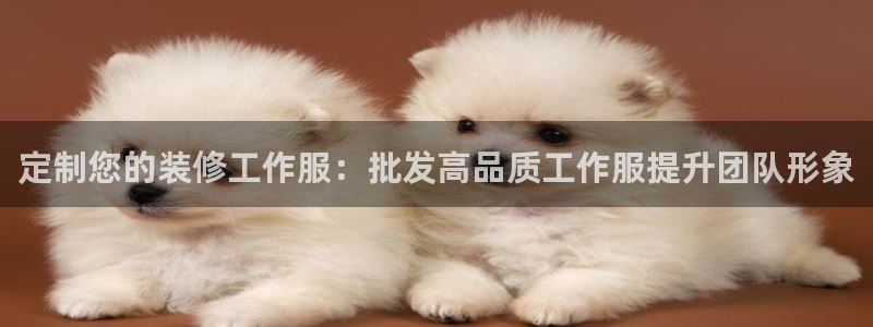 龙8国际手机版注册|定制您的装修工作服：批发高品质工作服提升团队形象