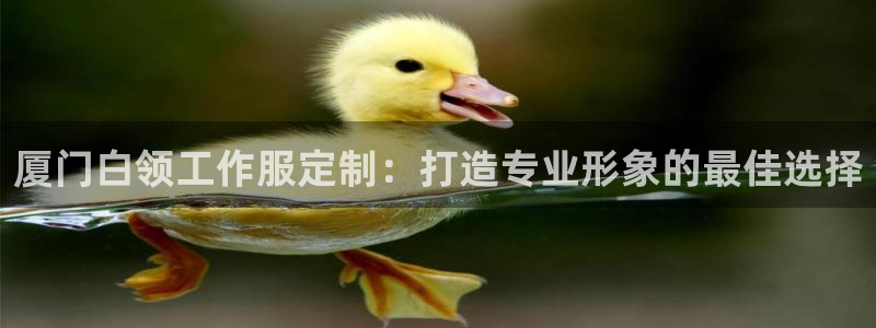 龙8国际唯一官网手游登录入口|厦门白领工作服定制:打造专业形象的最佳选择